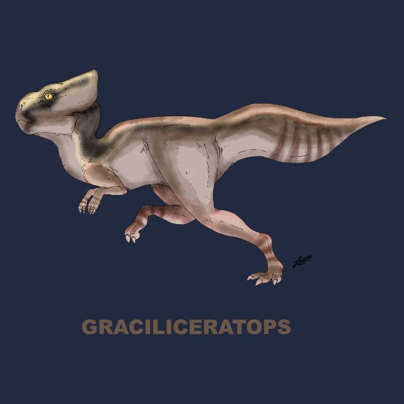 GRACILICERATOPS