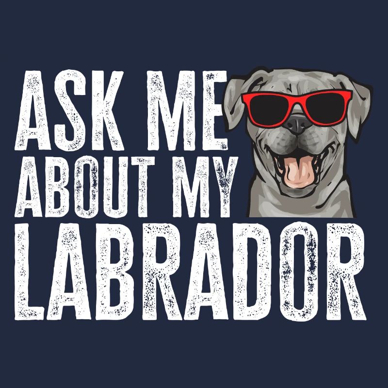 Silver Labrador Retriever Silver Lab