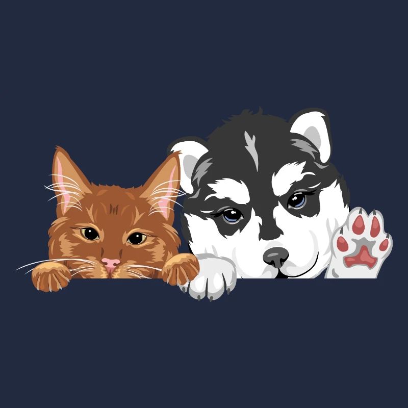 Coup d’œil drôle de chat roux et chien husky