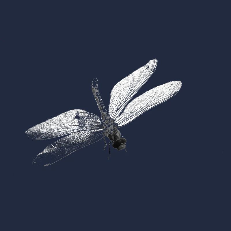 Libelle