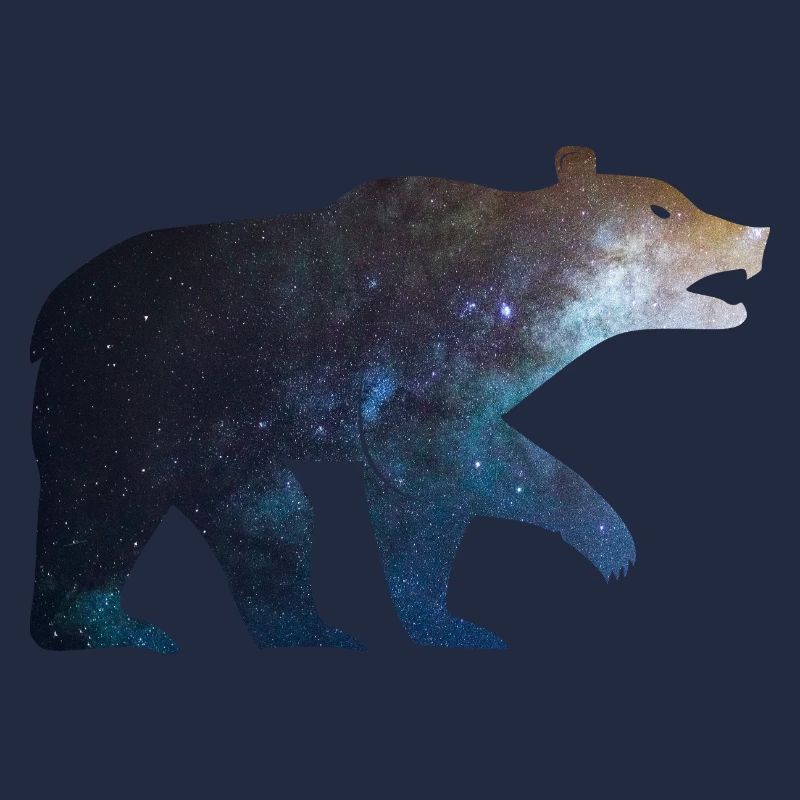 Bear Starlight