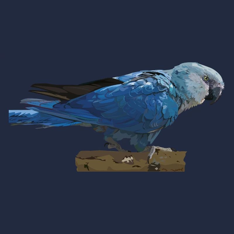 Ara de Spix