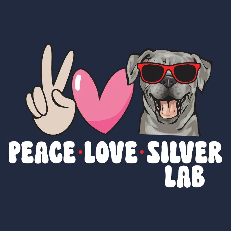 Silver Labrador Retriever Silver Lab