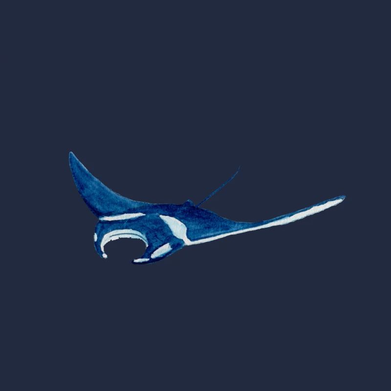 Raie manta