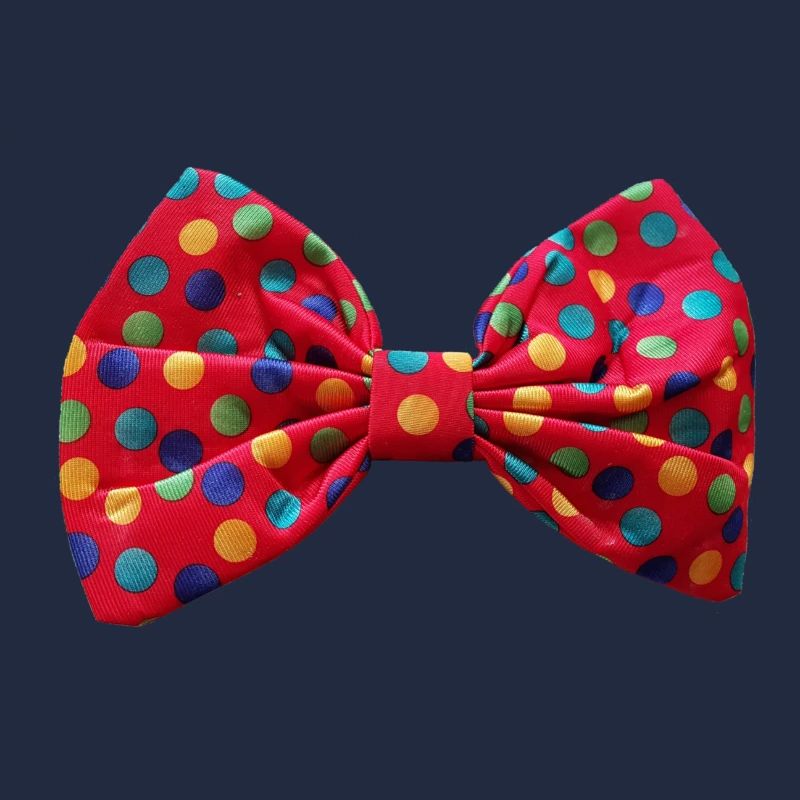 Clownfliege