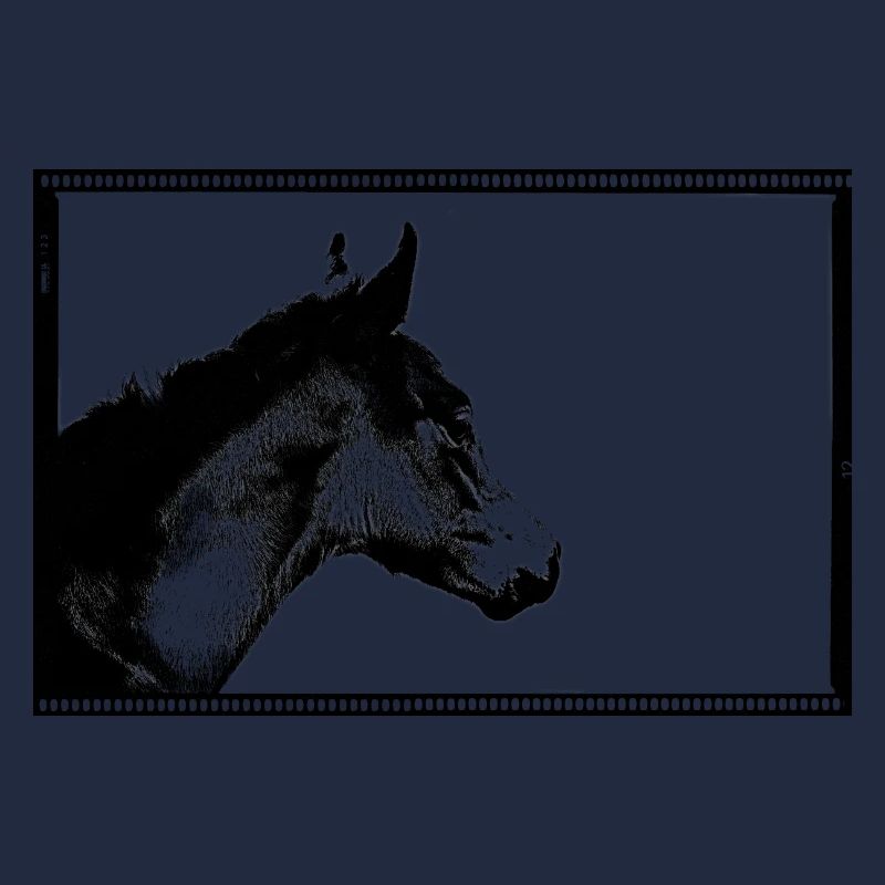 Dreamy the Filly