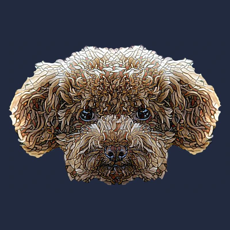 Visage de caniche jouet