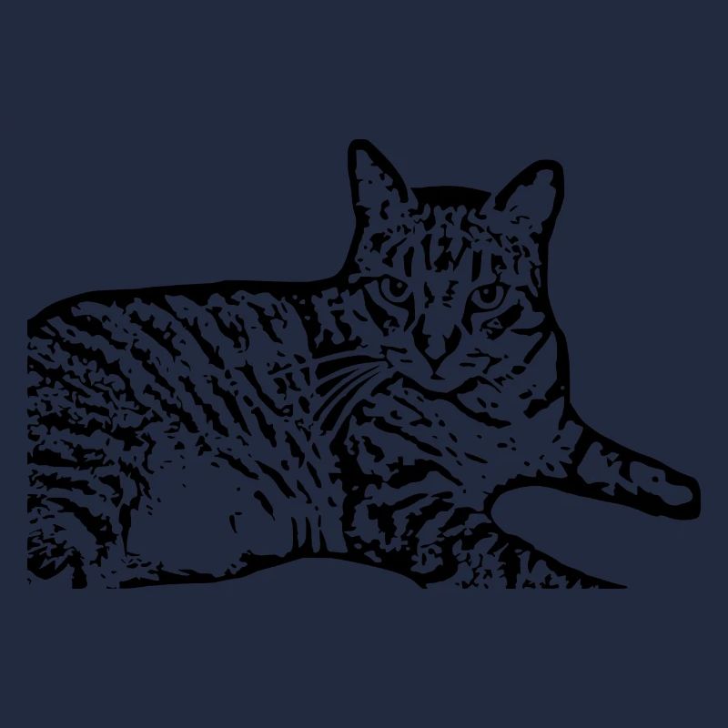 chat noir chat chaton doux cadeau de Noël