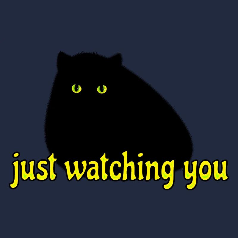 black cat is watching you