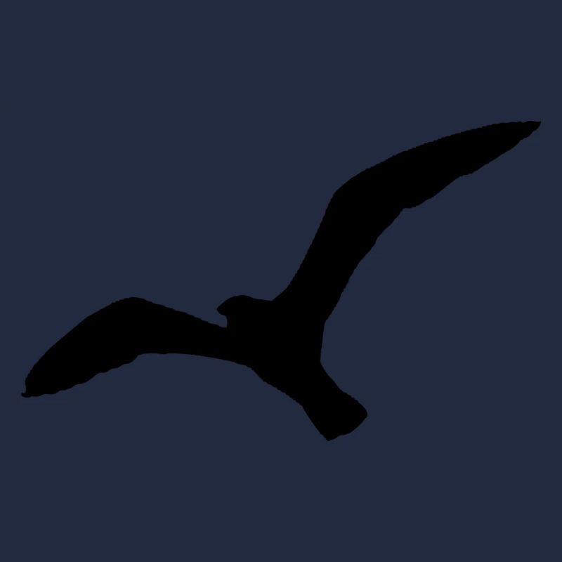 Möwe Norddeutschland