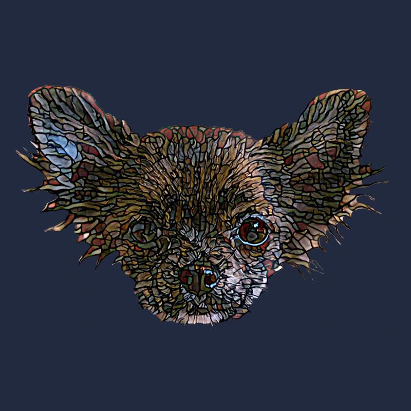 Visage de Chihuahua