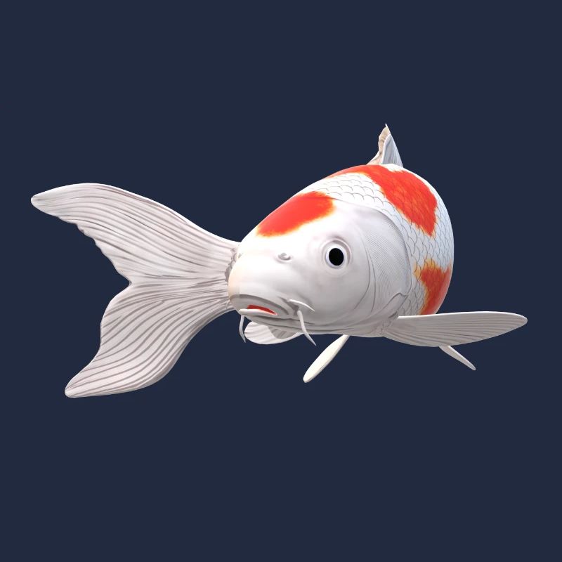3D Koi
