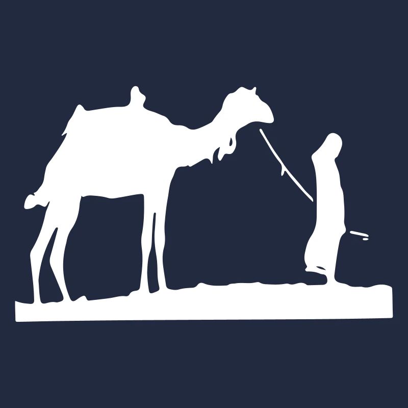 Wüste Sahara Kamel