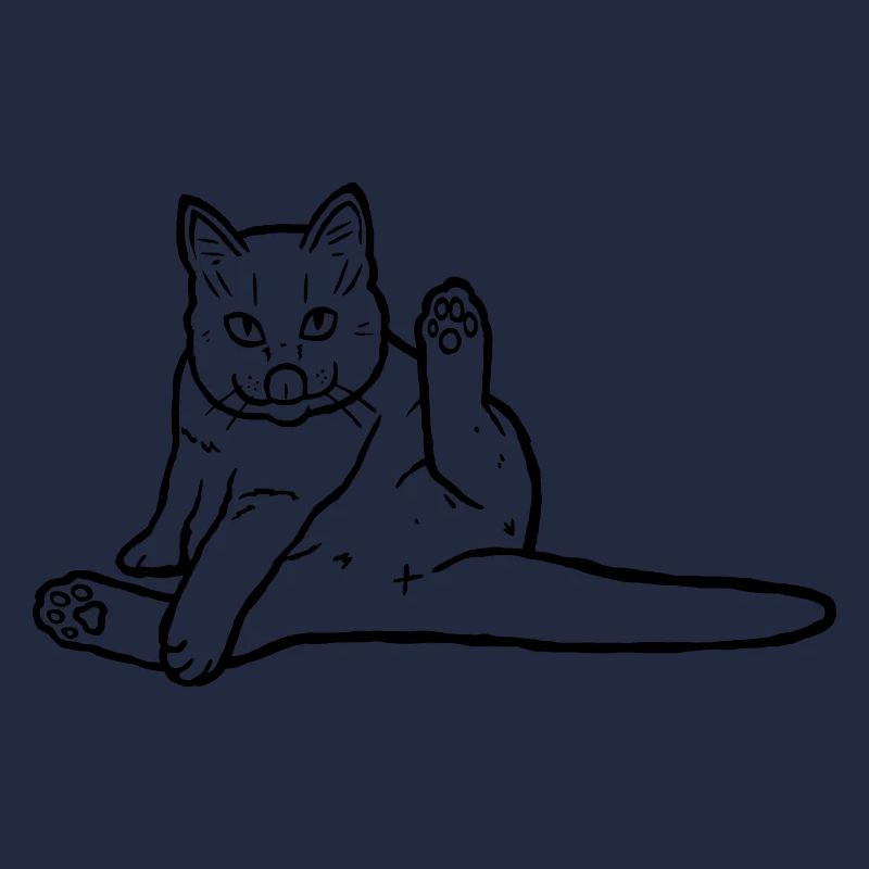 Félin flexible : griffonnage de toilettage de chat amusant