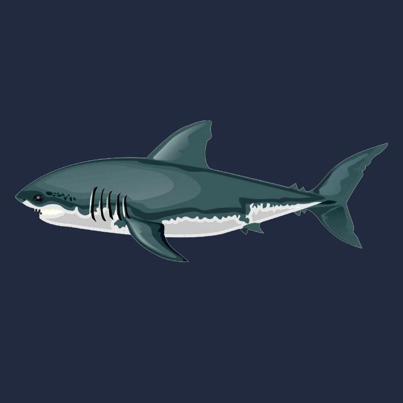 requin