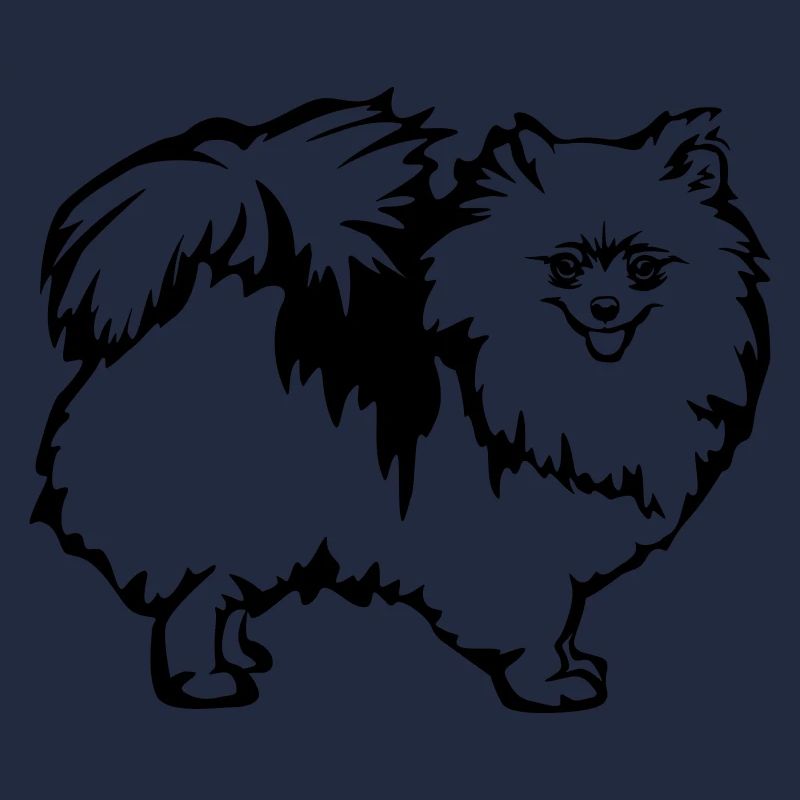 Dwarf spitz