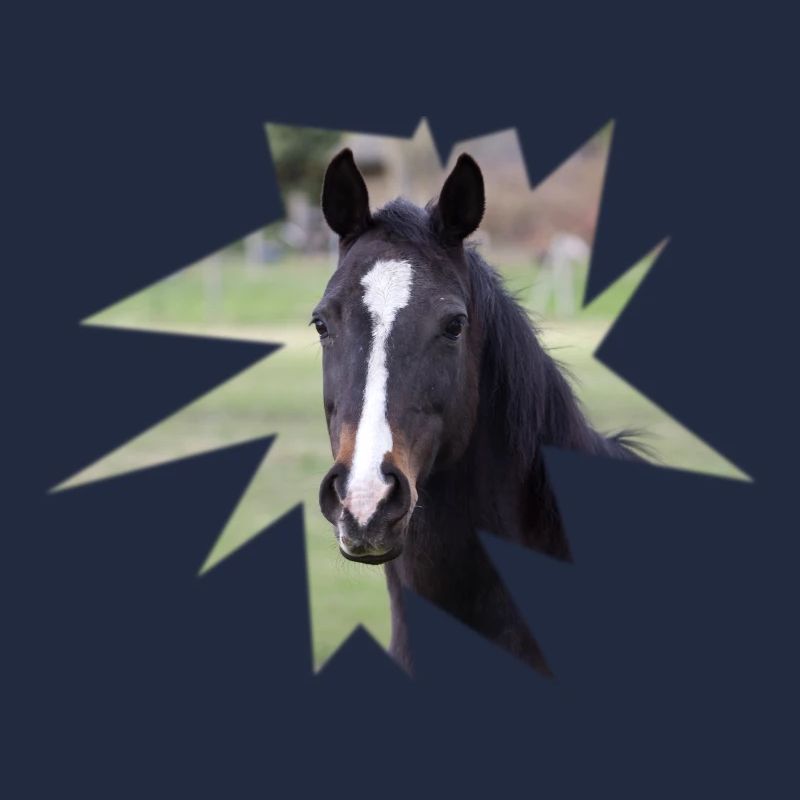 Cheval. Cheval.