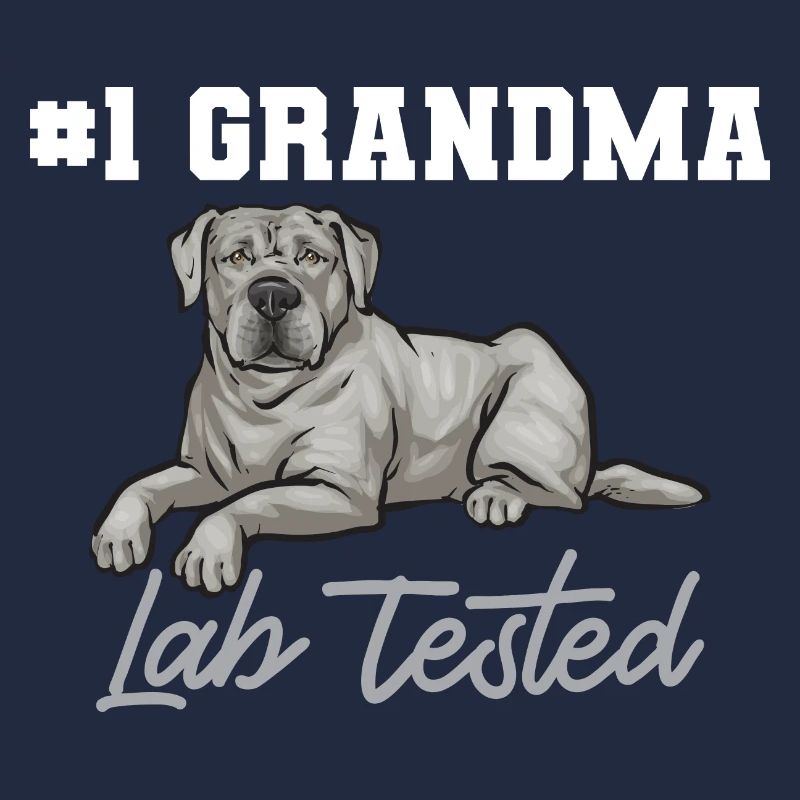 Silver Labrador Retriever Silver Lab