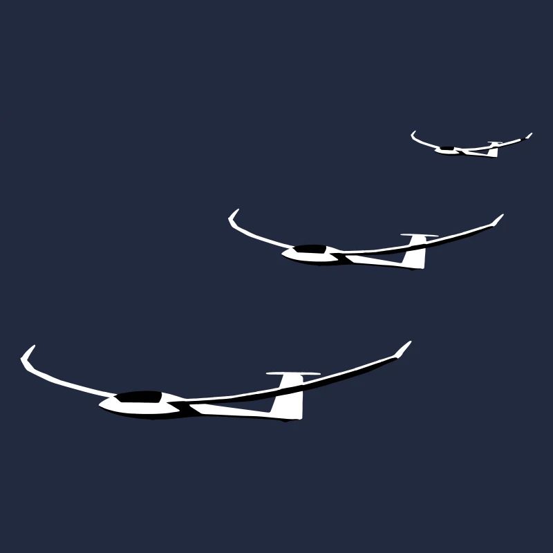 Glider Gliding Glider Glider Pilot Pilot