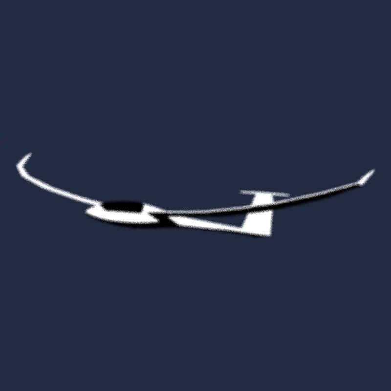 Glider Glider Glider Pilot Pilot