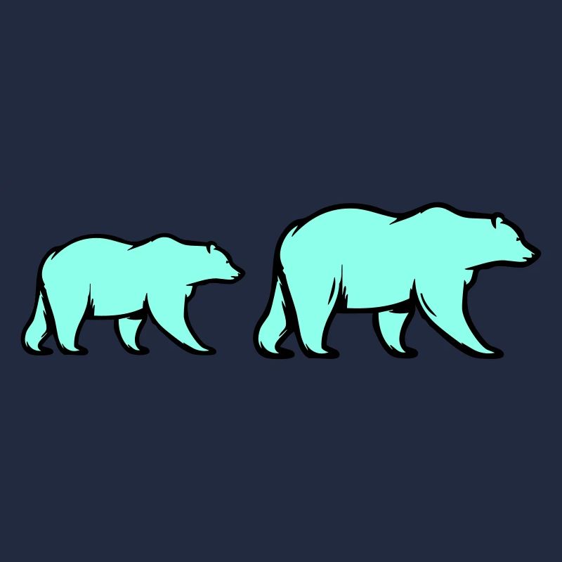 Ours polaires