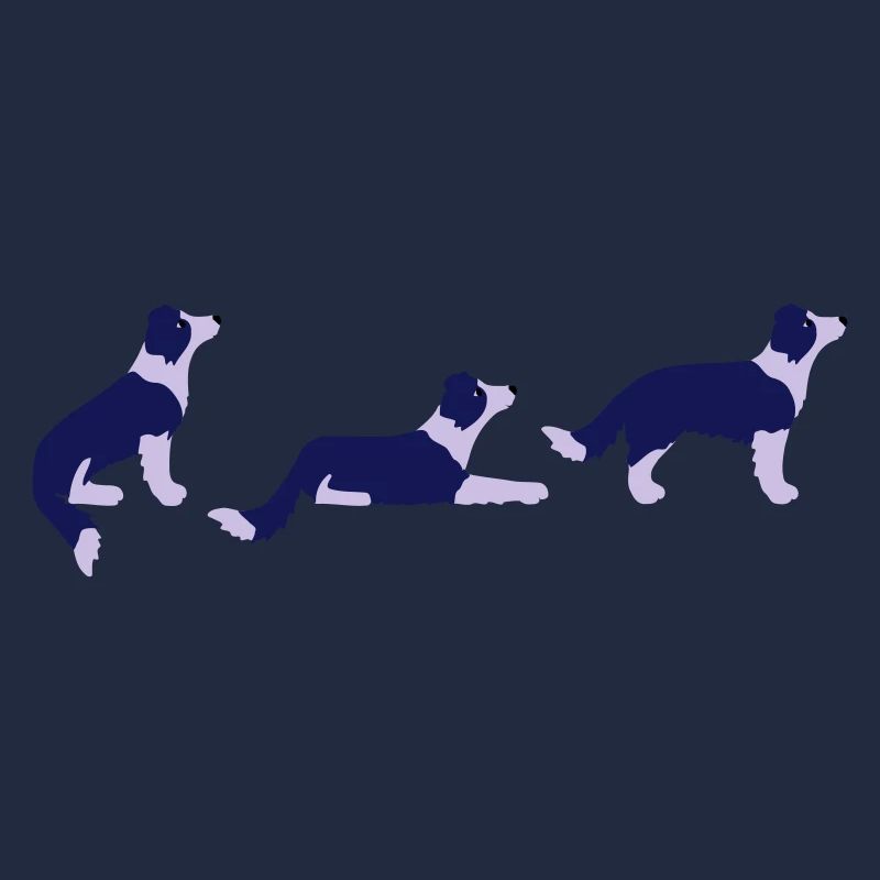 Sitz Platz Steh Border Collie Vektor