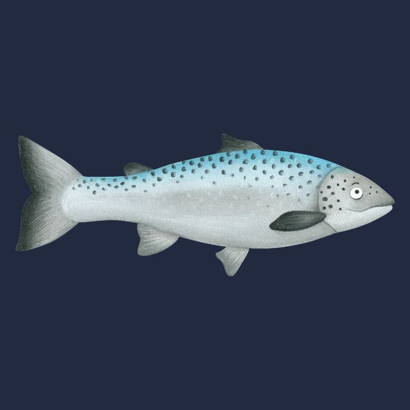 Saumon