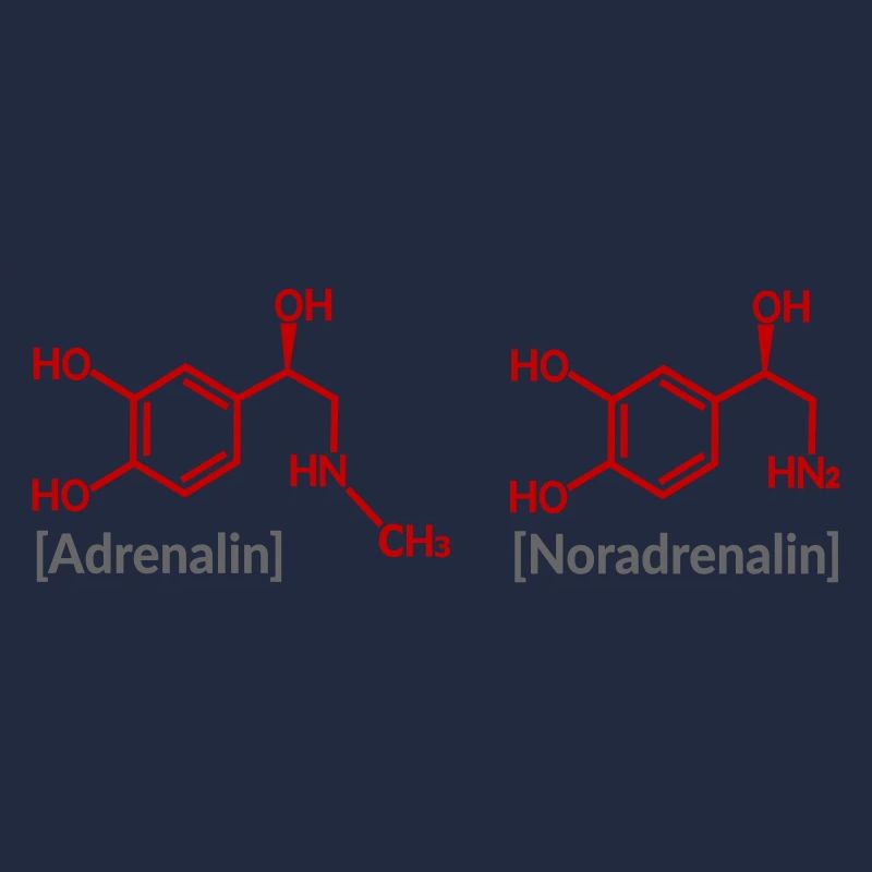 Katecholamine