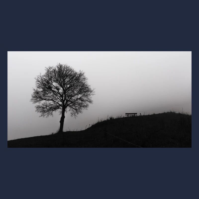 Le banc et l’arbre dans le brouillard