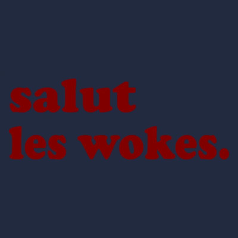 salut les wokes