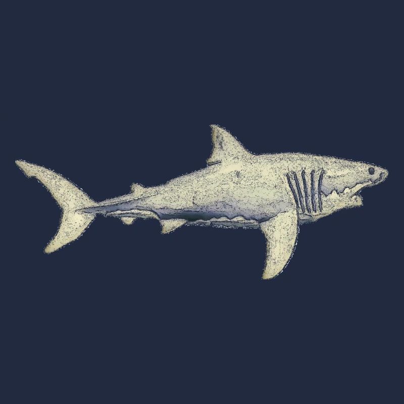 Grands requins blancs requins de mer ailerons de requin silhouette de l’océan01