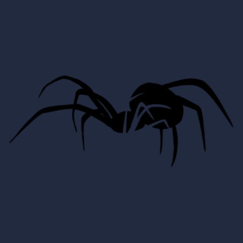 Spinne