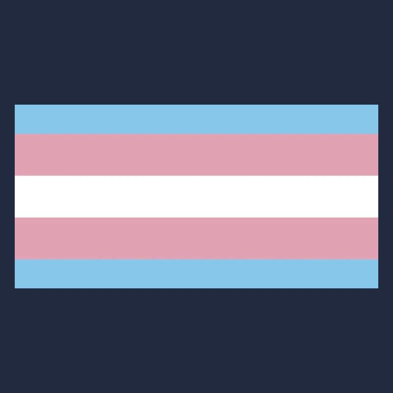 trans pride