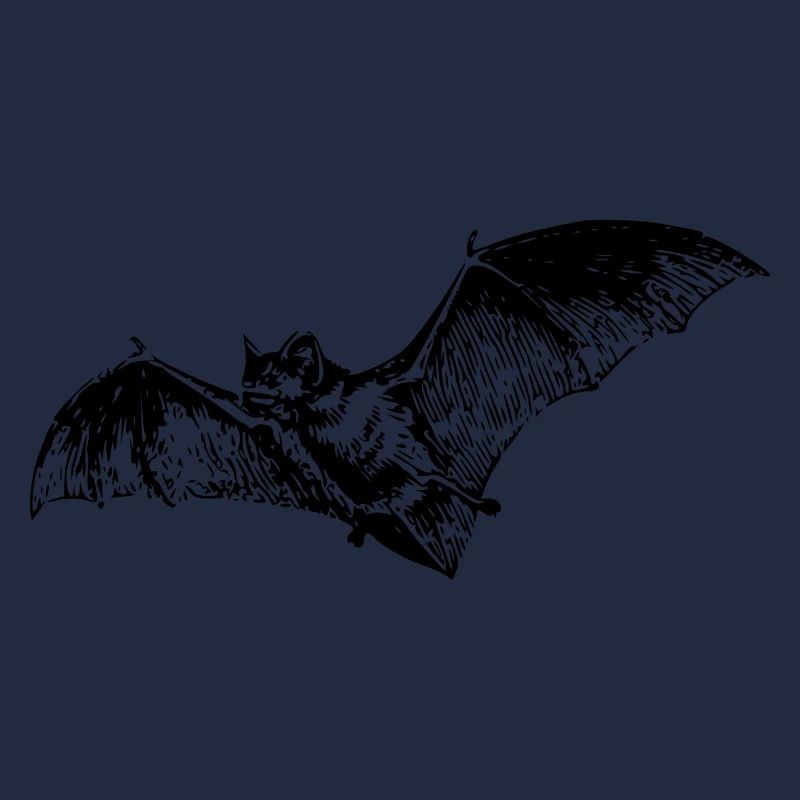 Chauve-souris