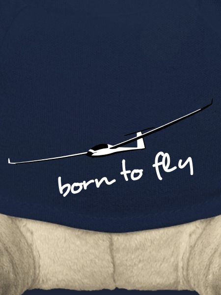 planeur duodiscus Planeur