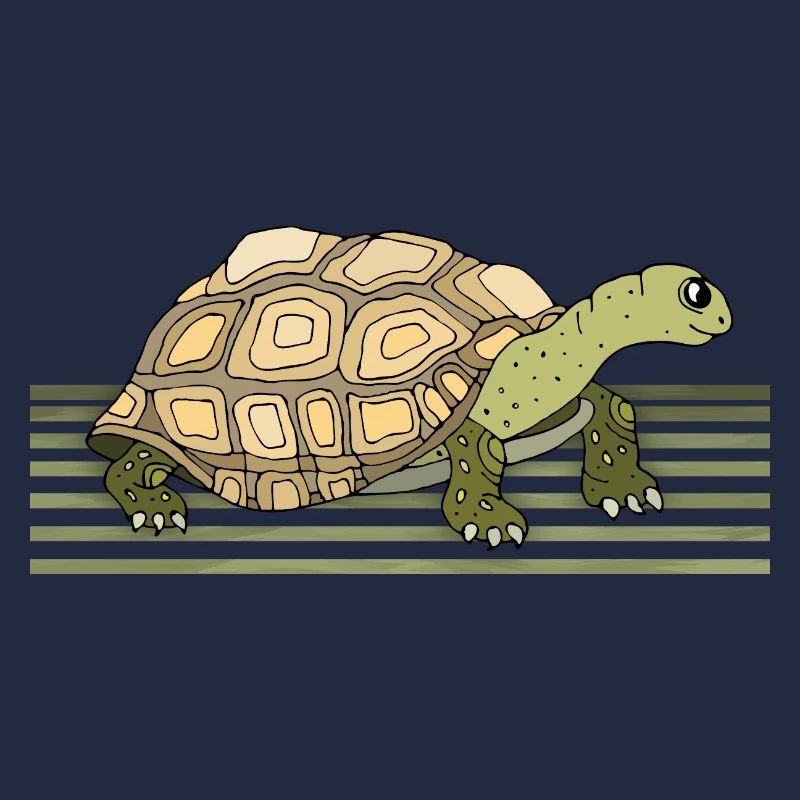 Tortoise