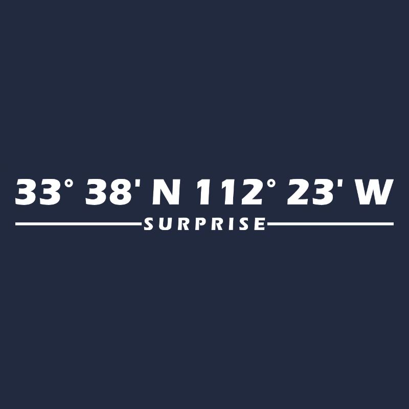 Surprise Coordinates