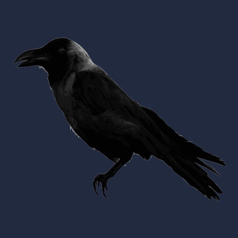 corbeau