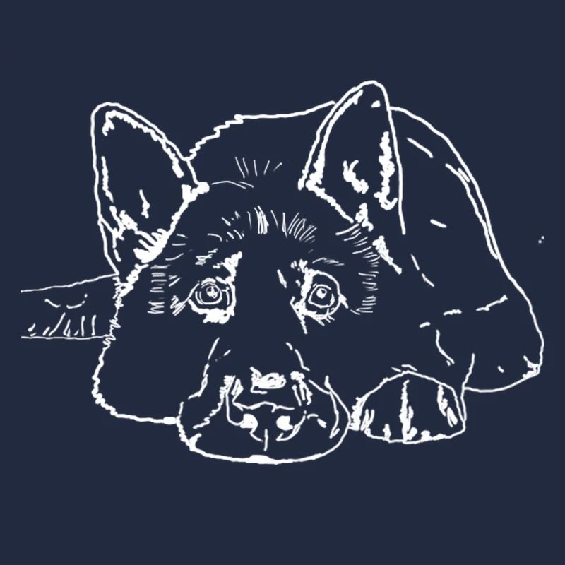 Chien de berger
