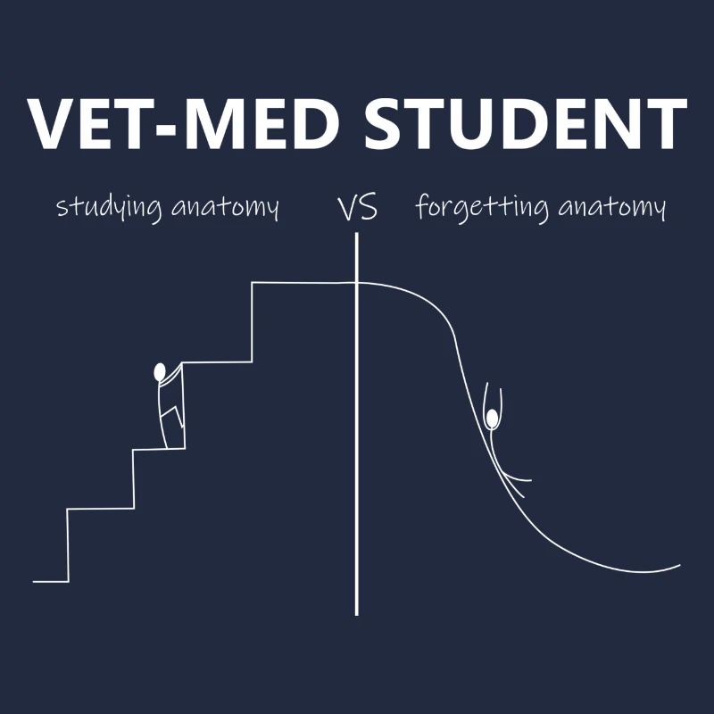 Vet-Med Student - Anatomie