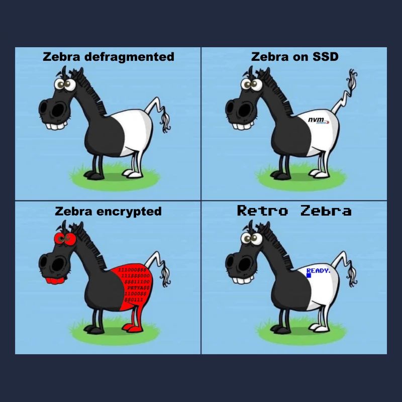 Zebra