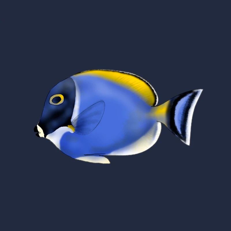 ACANTHURUS LEUCOSTEMON