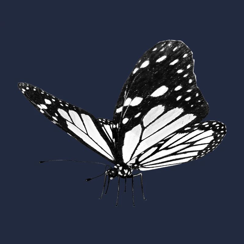 Papillon, Papillon