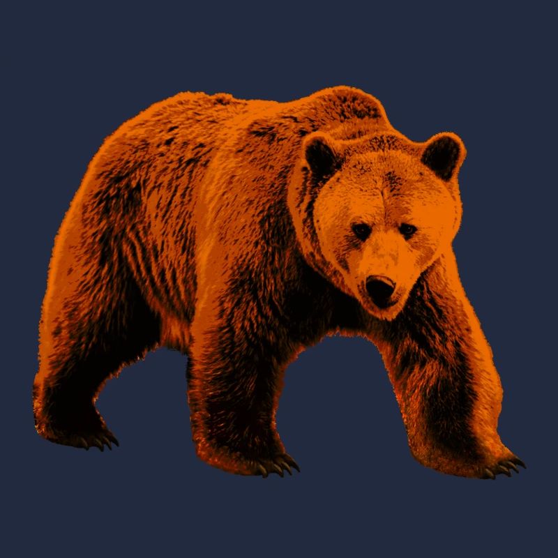 Bear, Wild Bear