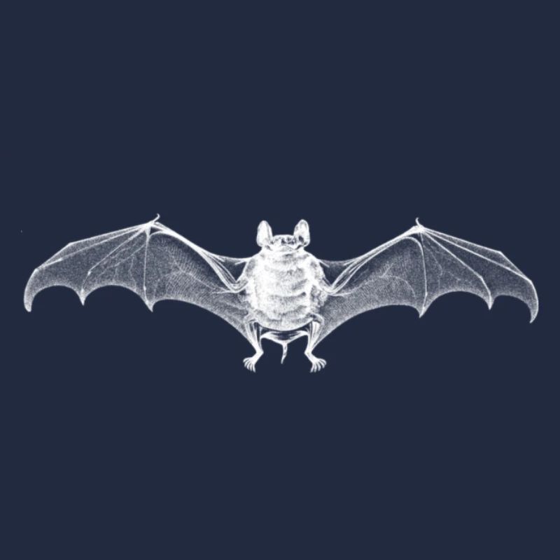 Fledermaus