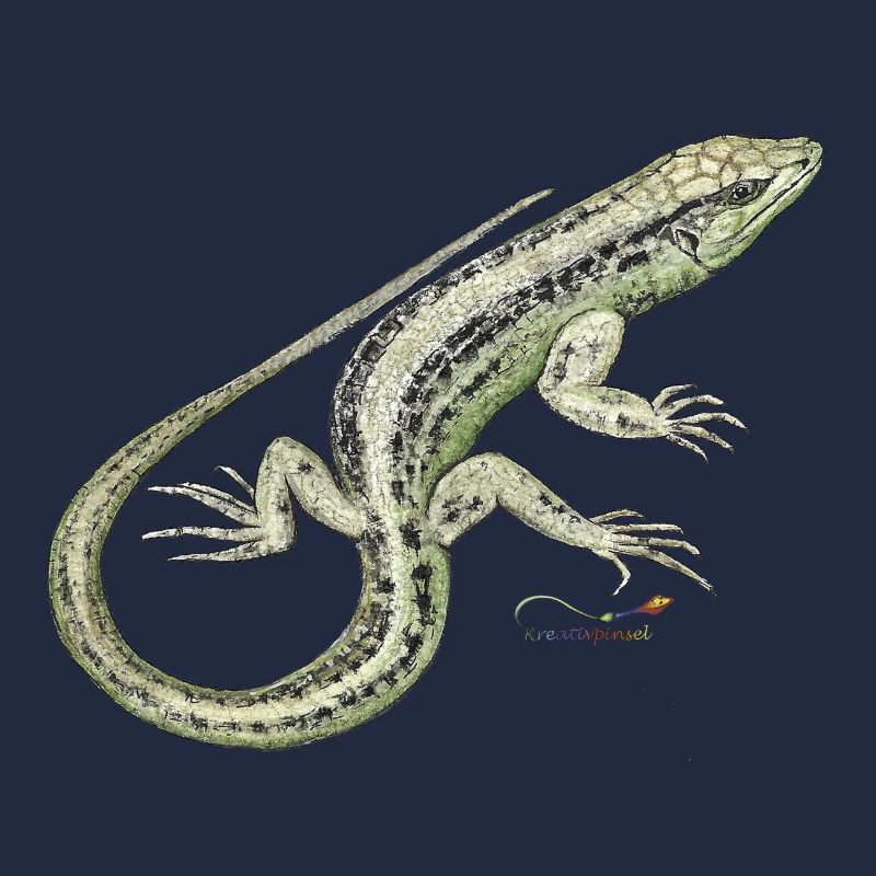 Sand lizard