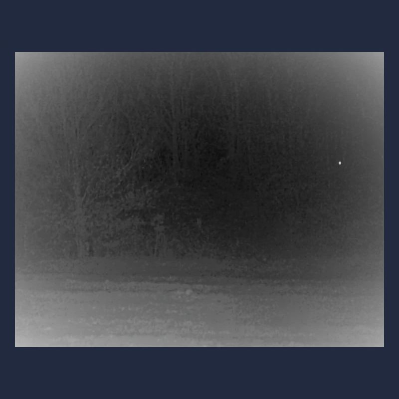 Créature effrayante dans la forêt