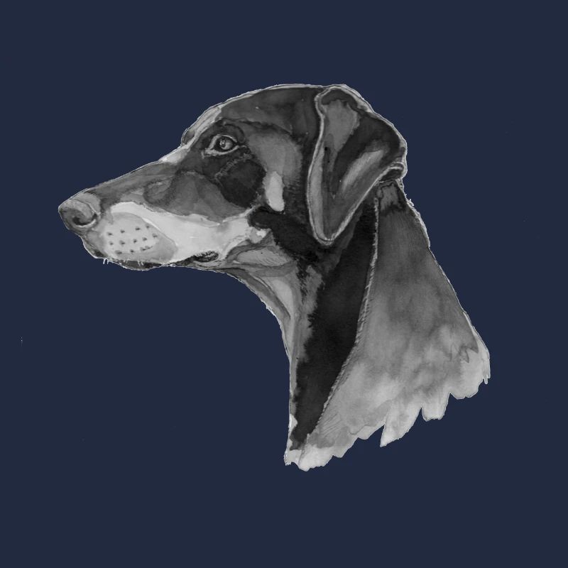 Pince Doberman