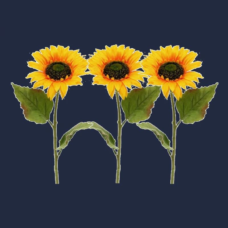 Drei Sonnenblumen