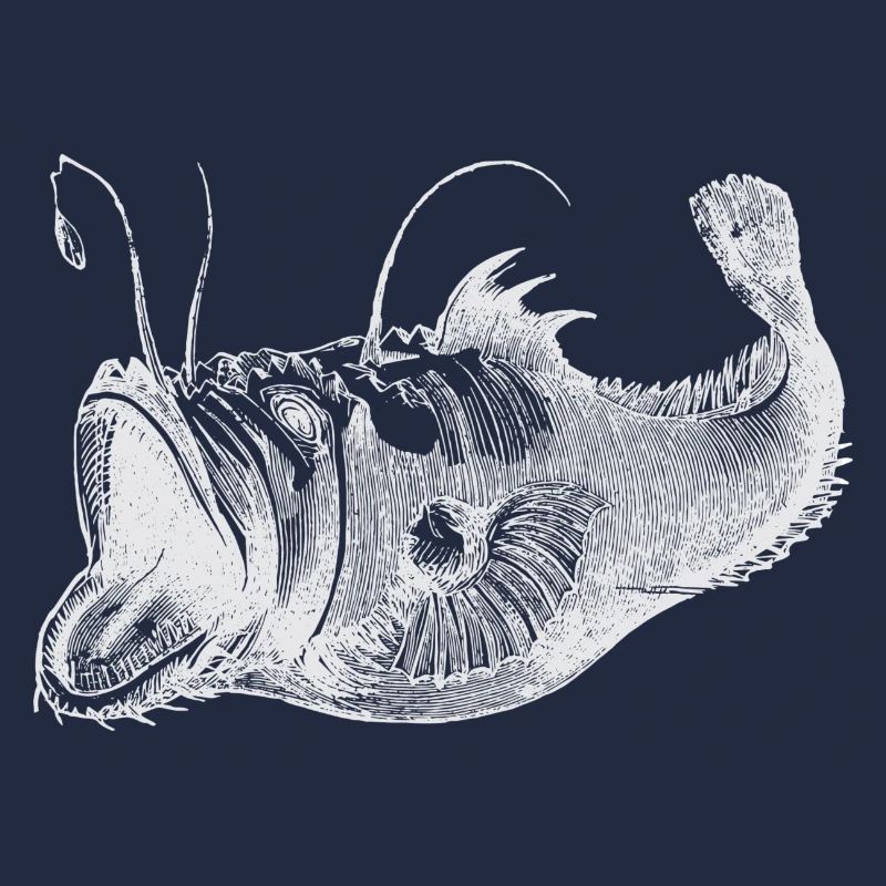 deep-sea fish white